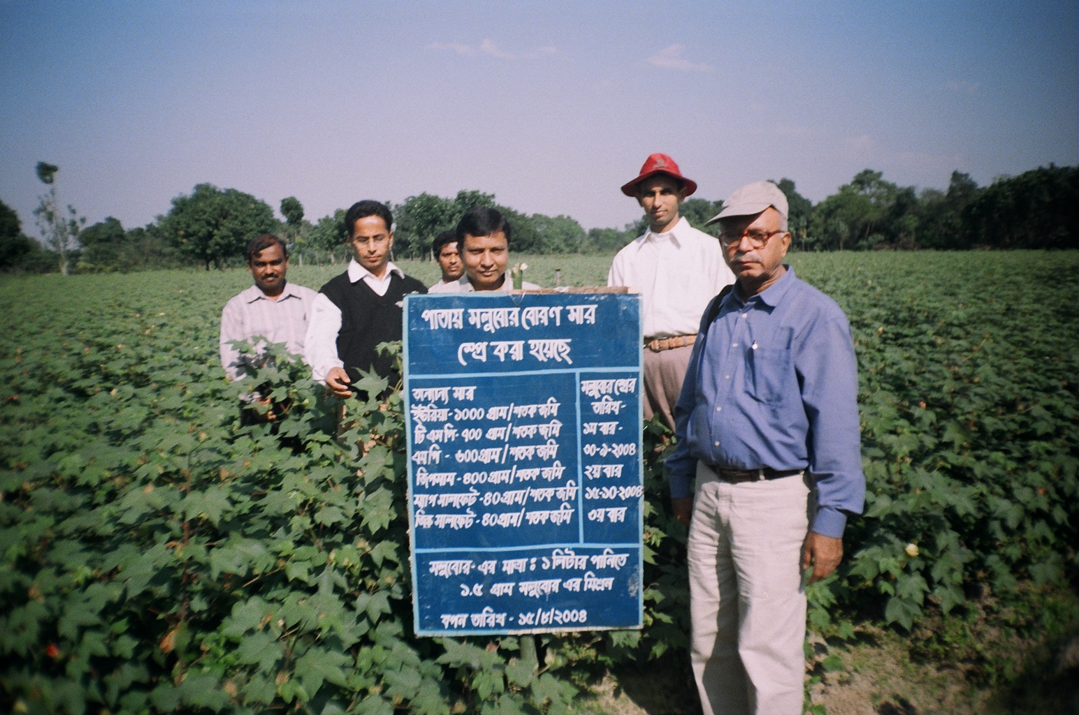 Solubor Trial on Field