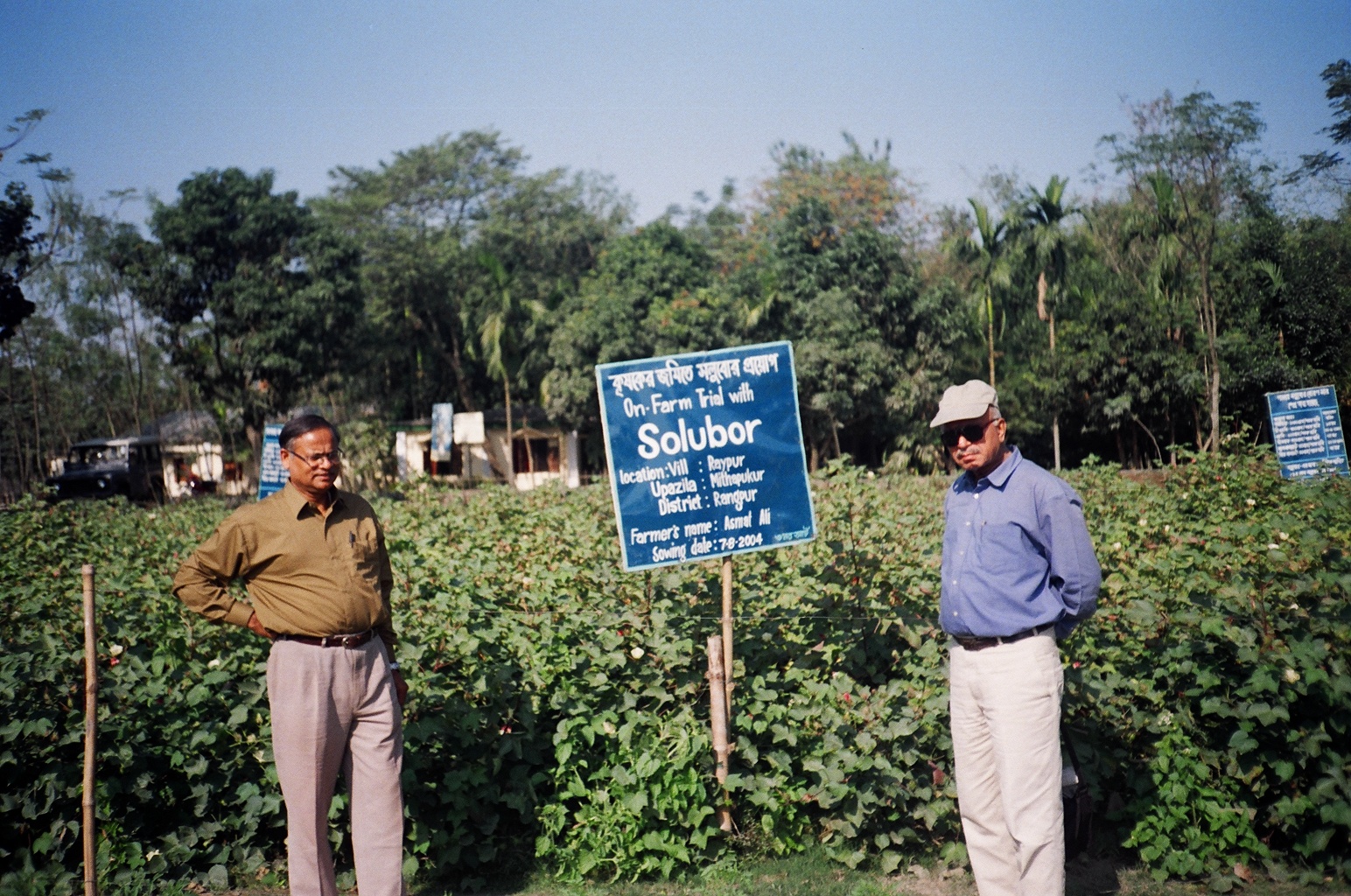 Solubor Trial on Field