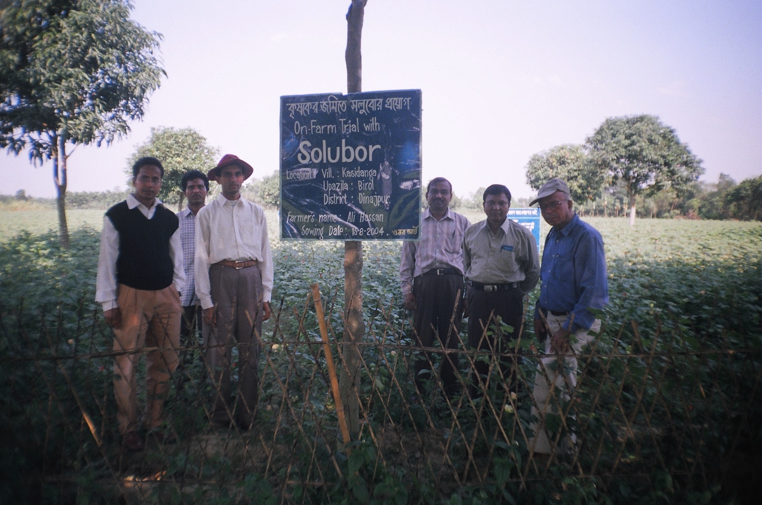 Solubor Trial on Field