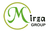 Mirza Group